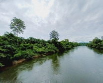 ขายที่ดินติดแม่น้ำแควน้อย ทองผาภูมิ กาญจนบุรี
