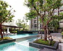 ให้เช่า THE NICHE PRIDE THONGLOR-PHETCHABURI