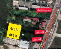 ขาย ที่ดิน ถนนเศรษฐกิจ1 จ.สมุทรสาคร ฟรีโอน