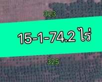 ขายสวนลำไย 15-1-74.2 ไร่ เขื่อนผาก อ.พร้าว เชียงใหม่