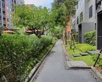 ขายคอนโด Escent Ville Condo ทำเลดีติด Central Festival เชียงใหม่