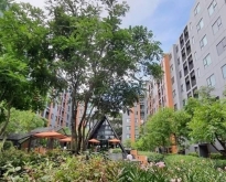 ขายคอนโด Escent Ville Condo ทำเลดีติด Central Festival เชียงใหม่
