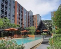 ขายคอนโด Escent Ville Condo ทำเลดีติด Central Festival เชียงใหม่
