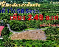 ที่ดิน1ไร่58ว.2.49ล.ฟรีโอน ขัวมุง สารภี เชียงใหม่