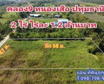 ที่ดินคลอง 9 หนองเสือ 2 ไร่ ถนนรังสิต-นครนายก