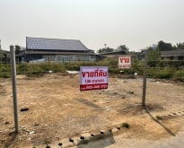 ขาย ที่ดิน  อำเภอหนองจ๊อม ตำบลสันทราย  จังหวัดเชียงใหม่