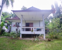 House in Maenam Koh Samui 1 bedroom Available for Rent