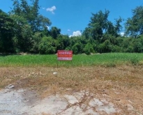 ขายที่ดิน 590 ตร.ว. ใน ต.เขาสามยอด อ.เมืองลพบุรี เหมาะสำหรับ ปลูกบ้าน