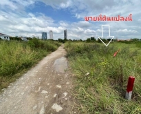 ขายที่ดิน ซอยวัดปลัดเปรียง อ.บางพลี สมุทรปราการ