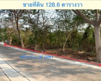 ขายที่ดินเปล่า 128.6 ตรว ซอยวัดลาดปลาดุก