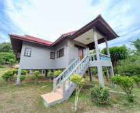 House For Rent Special Price Good Location  1 Bedroom 1 Bathroom