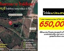 ขายที่ดินสวนยาง ใกล้เชิงเขา จันทบุรี ใกล้เนินนางพญาเพียง 4 กิโล