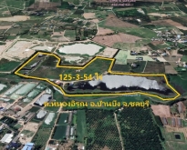 ขายที่ดินสวย บ้านบึง ชลบุรี ระยอง 126 ไร่ แหล่งน้ำขนาดใหญ่