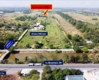 ที่ดิน 200 ตรว. คลอง10 หนองเสือ ปทุมธานี