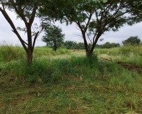 ขายที่ดิน 2ไร่ อ.ไทรโยค จ.กาญจนบุรี สวยทรงสีเหลี่ยมผืนผ้า ใกล้แม่น้ำแค