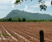 ขายที่ดินติดถนนสายเอเซีย