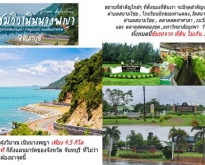 ขายที่ดินสวนยาง ใกล้เชิงเขา จันทบุรี ใกล้เนินนางพญาเพียง 4 กิโล