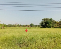 ขายที่ดินว่างเปล่า  อำเภอกุดจับ  อุดรธานี