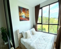 For Sale : Thalang, Town House @Ban Pon, 3 bedrooms 2 Bathrooms