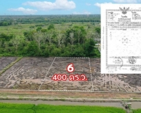 ที่ดินทำเลศักยภาพ คลอง 8.รังสิต-นครนายกใกล้รถไฟฟ้าสายสีแดง ที่ดินหลังต