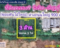 ที่ดินทำเลทอง คลอง9 ธัญบุรี