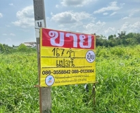ขายที่ดิน 167 ตารางวา เฉลิมพระเกียรติ ร.9 ซ.14  พระโขนง กรุงเทพฯ