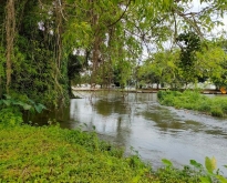 ขายที่ดินเพชรบุรีติดแม่น้ำเพชร ติดกับเดอะทรีรีสอรืท แก่งกระจาน