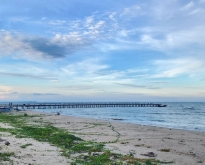 ขายที่ดินติดชายหาดพร้อมหาดทรายสวยๆ บ้านหนองบัว