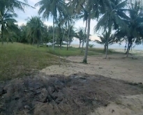 ขายที่ดินติดทะเลหาดละเเม วิวสวยทำเลดี เดินทางสะดวก