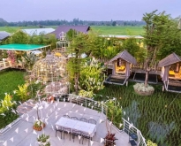 ขายรีสอร์ทและร้านอาหาร ขนาด9ไร่ วิวธรรมชาติเทือกเขาและทุ่งนา สันป่าตอง