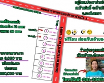 ขายที่ดินจัดสรร ถมแล้ว 110 ตรว.ต.บ้านโพธิ์ อ.บ้านโพธิ์ จ.ฉะเชิงเท