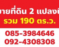 ขายที่ดิน 2 แปลง รวมกัน เนื้อที่รวม 190 ตารางวา