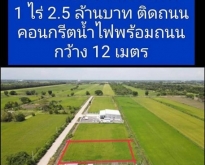 TD541  ขายที่ดินแปลงงาม :  ปทุมธานี