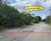 ขาย ที่ดินเปล่า ในโครงการวิจิตราธานี บางนา