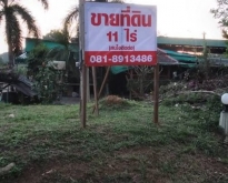 ขายที่ดิน 11ไร่ ต.บ้านโพธิ์ อ.เมืองตรัง เจ้าของขายเอง ที่ดินมีต้นปาล์ม