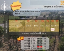 ขายที่ดิน97ว.288,000บ. ฟรีโอน ต.โคกตูม อ.เมือง ลพบุรี