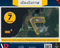 ขายที่ดินแปลงสวย ทำเลดี เมืองบึงกาฬ ขนาด 36-1-08 ไร่ เป็นสวนปาล์ม วิวภ