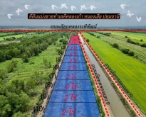 ที่ดินเลียบคลองระพีพัฒน์ คลอง9 แบ่งขาย ทำเลดี ราคาถูก