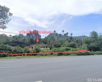 ขายบ้านเดี่ยวใกล้ โรงพยาบาลร่อนพิบูลย์ อ.ร่อนพิบูลย์ จ.นครศรีธรรม