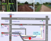 ขายถูกที่สุด ที่ดิน 4 ไร่ๆ ละ 5.7 แสน  ต.ท่าข้าม อ.พนัสนิคม จ.ชลบ