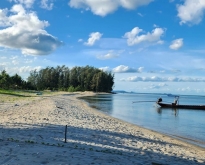 ขายที่ดินติดหาดละแมชุมพร ลดพิเศษ4 ล้านบาท