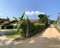 Land for rent - with house rental business
