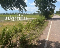 ขายที่ดินวิวทุ่งนาและวิวเขา อำเภอรัตนวาปี จังหวัดหนองคาย