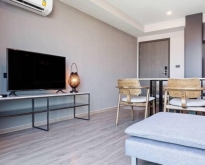 Regent Home 19 safe clean