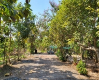 ขายบ้านสวนพร้อมที่ดิน จ.ราชบุรี อ.โพธาราม 6 ไร่ 3 งานเศษ