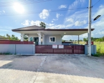 New house for sale in Na Muang zone, Koh Samui.
