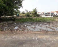 ที่ดินแบ่งขาย ในซอยวัดพระเงิน นนทบุรี ทำเลดี ราคาถูก