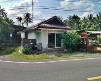 ขายบ้านเดี่ยวชั้นเดี่ยว  ต.ปะโด อ.มายอ จ.ปัตตานี