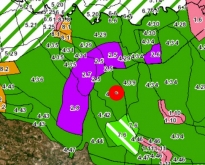 ขายที่ดินทางการเกษตร (สวนป่า) อ.ศรีมหาโพธิ 130-2-93.8 ไร่