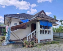 ขายบ้านพร้อมที่ดิน เนื้อที่บริเวณรอบบ้าน  2งาน 0.5 ตรว.